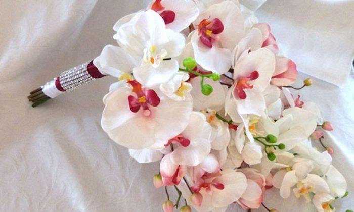 Ý nghĩa hoa lan hồ điệp trắng là gì? Top các loài lan hồ điệp trắng phổ biến nhất