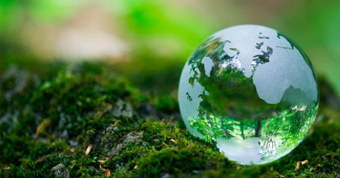 Soạn bài Về chính chúng ta - Kết nối tri thức 10                                Ngữ văn lớp 10 trang 100 sách Kết nối tri thức tập 2