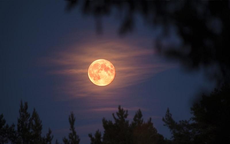 Thơ về rượu bia, ăn nhậu hài hước – Thơ về rượu và em hay nhất