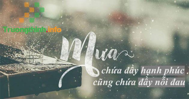 Những stt thả thính trời mưa khiến trái tim Crush thổn thức