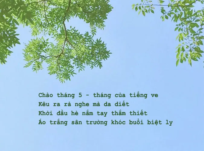 Thơ tháng 5 hay nhất về mùa hạ, tình yêu và tuổi học trò