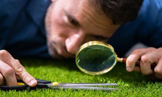 Những trải lòng của một người đã vượt qua thói cầu toàn