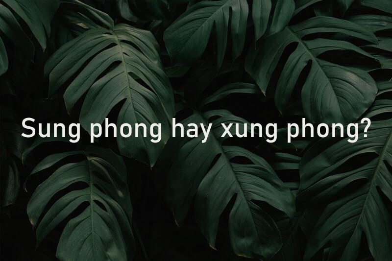 Sung phong hay xung phong mới đúng chính tả?