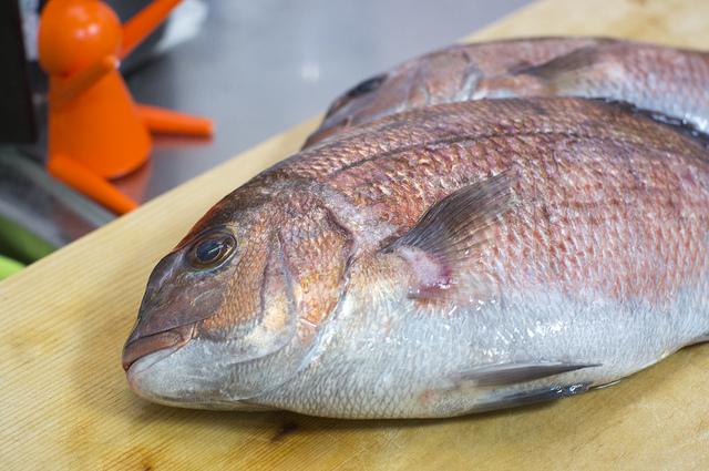 20 câu tục ngữ Nhật Bản dạy chúng ta những bài học ý nghĩa