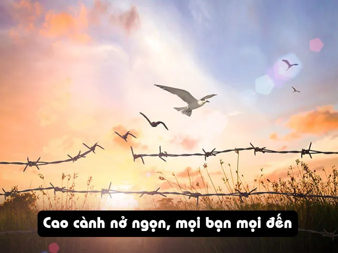 21 câu ca dao tục ngữ về khoan dung, độ lượng hay nhất