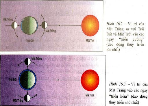 Hiện tượng thủy triều là gì?