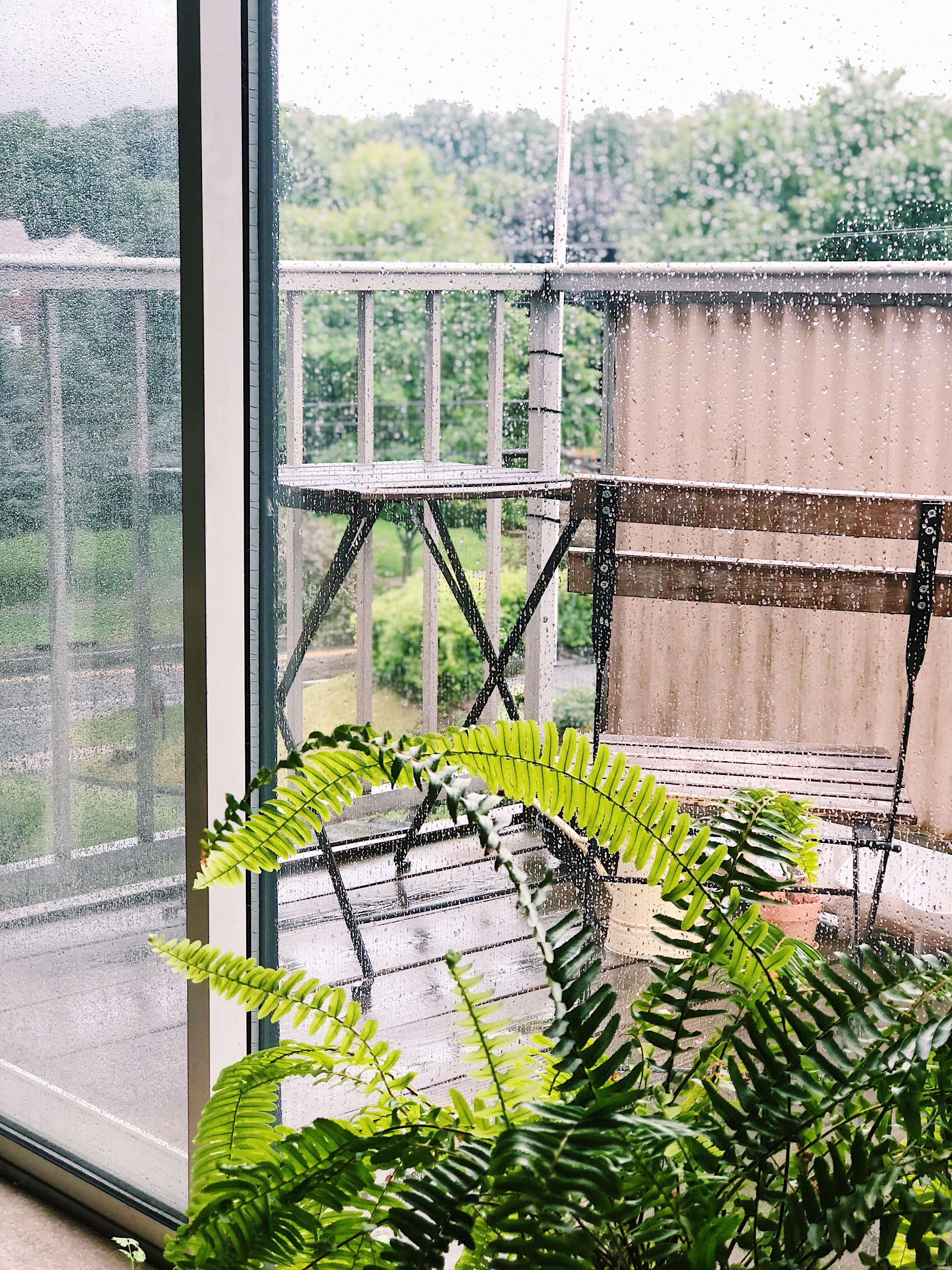 Tại sao cuộc sống ở nước ngoài không phải lúc nào cũng là màu hồng?