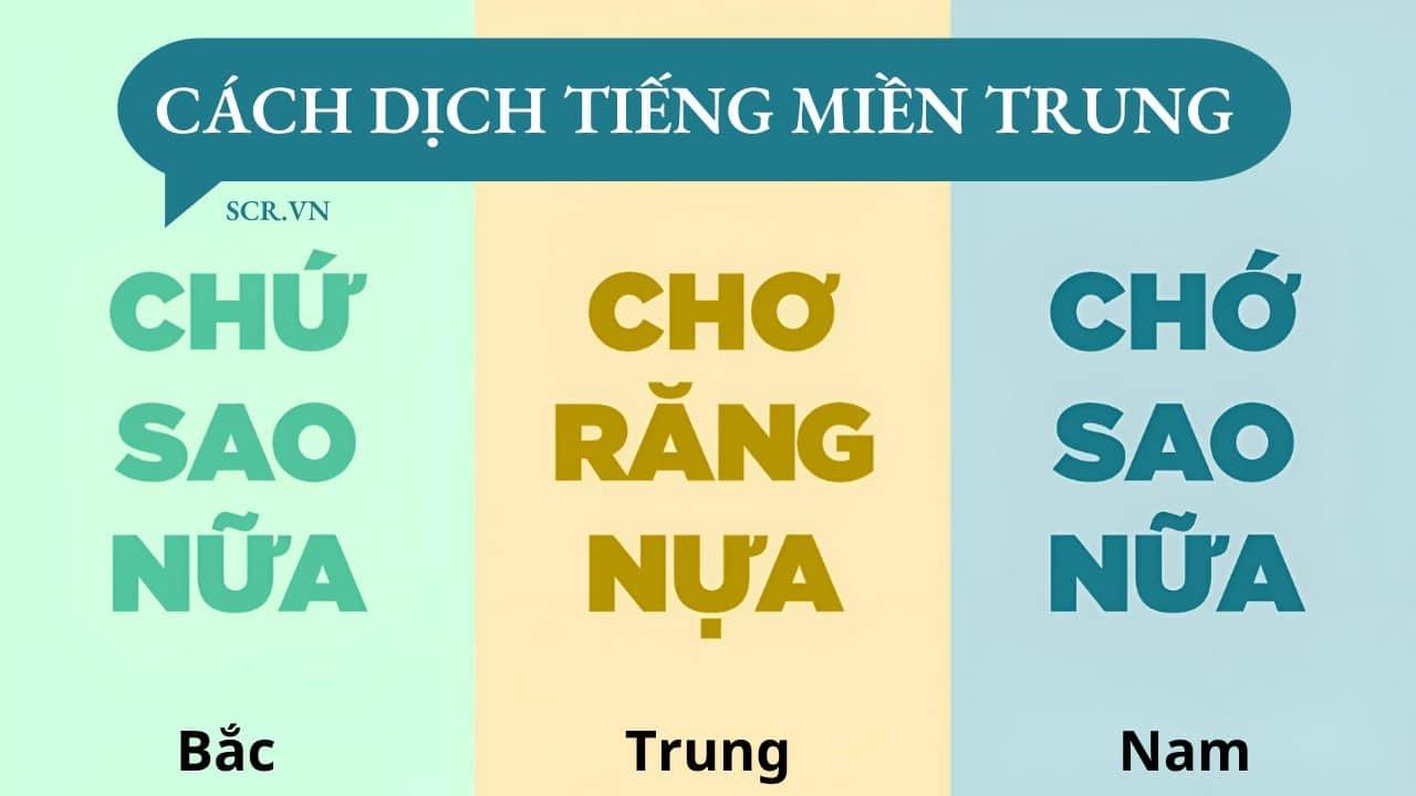 55+ Câu Chửi Tiếng Miền Trung, Những Câu Nói Miền Trung Khó Hiểu