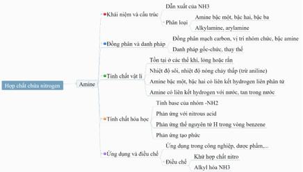 Giáo án Hoá học 12 kết nối Bài 11: Ôn tập chương 3
