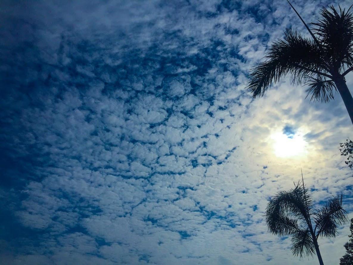 ĐI QUA NHỮNG NGÀY MƯA MỚI THẤY YÊU QUÝ NHỮNG NGÀY NẮNG