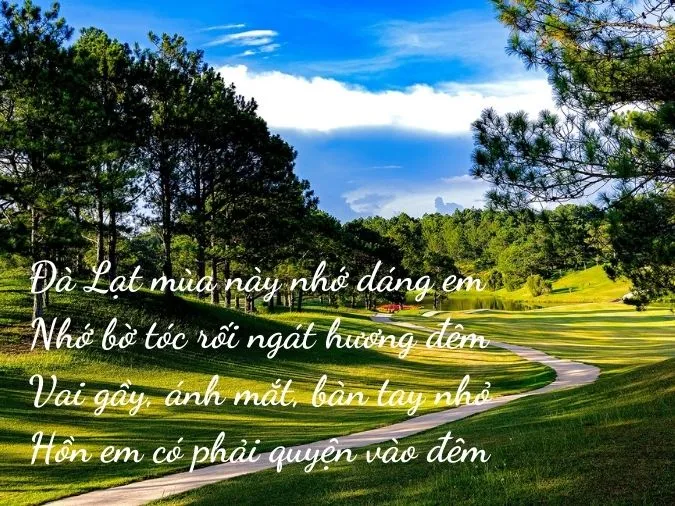 Tuyển tập những bài thơ về Đà Lạt mộng mơ