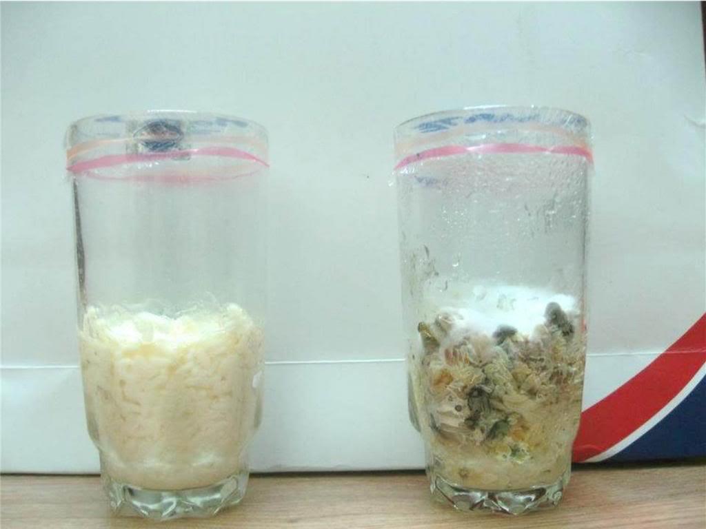 Buồn chán và mệt mỏi ư? Hãy quẳng ba lô đi mà tiến!...