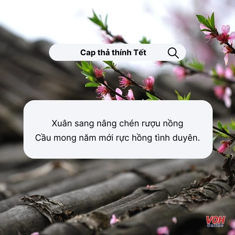 Tổng hợp STT, cap thả thính Tết hài hước, bá đạo
