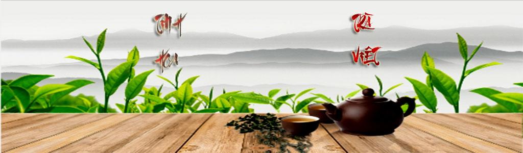 Tuyển tập những bài thơ hay về trà