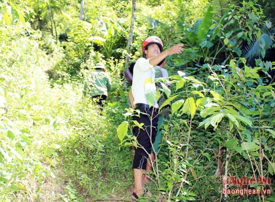 Mới lạ món ăn từ chông chông