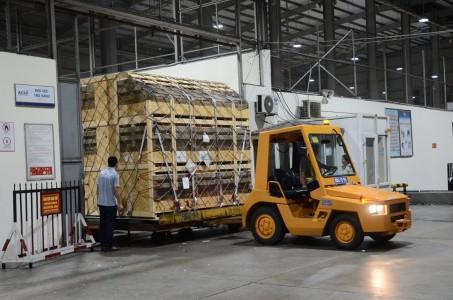 Hòa Phát nhập heo giống thuần chủng đầu tiên từ Đan Mạch