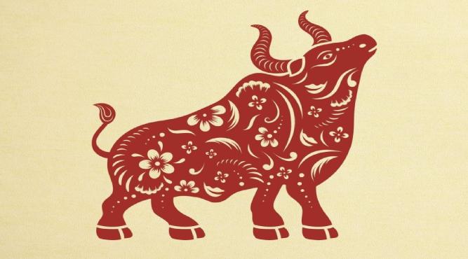 Sinh năm 2009 (2k9) năm nay 2026 học lớp mấy