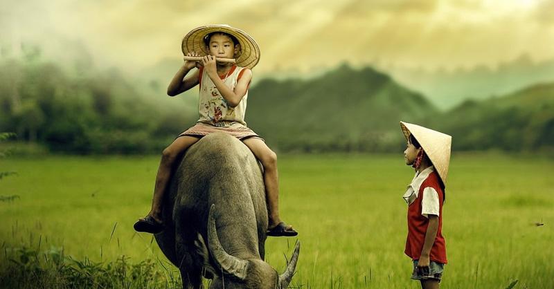 Những câu ca dao tục ngữ Việt Nam - Tinh hoa văn hóa dân tộc