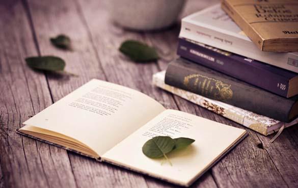 Tiếng Anh Cơ Bản