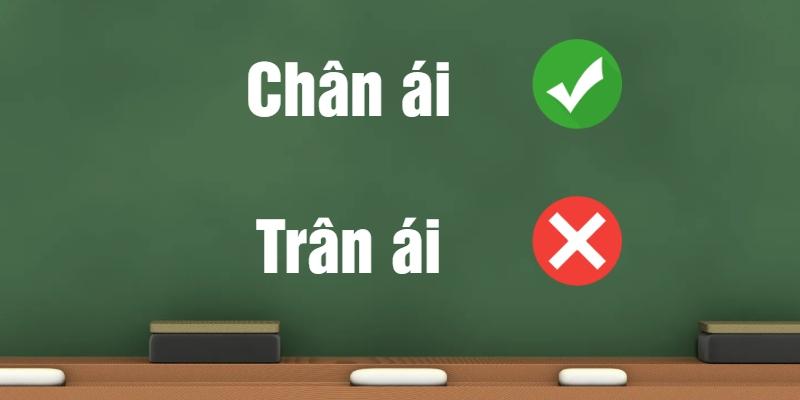 Trân ái hay chân ái: Đâu là từ đúng chính tả tiếng Việt?