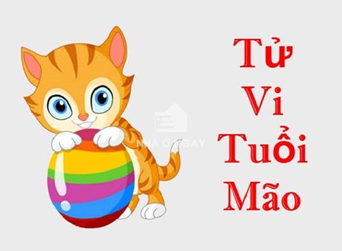 hình xăm phong thủy tuổi mão mẫu 1