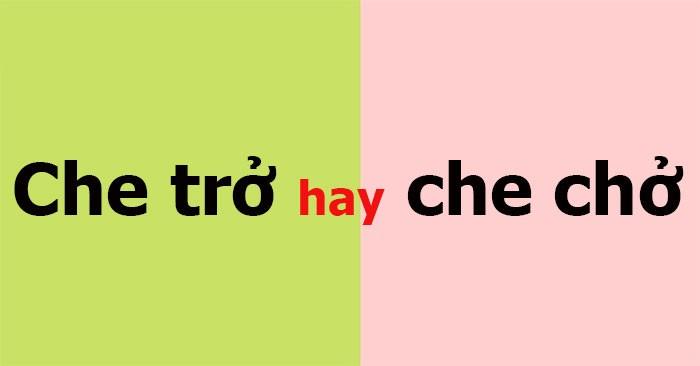 Che Chở Hay Che Trở: Đâu Mới Là Chính Tả Đúng Chuẩn Của Người Việt?