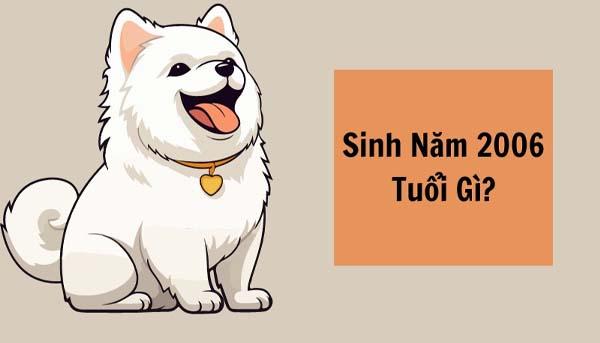 2k6 bao nhiêu tuổi và học lớp mấy