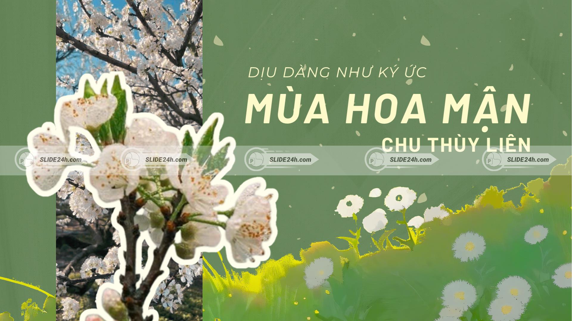 Slide Mùa Hoa Mận Chu Thùy Liên - Phân Tích Ý Nghĩa Và Nghệ Thuật Đặc Sắc