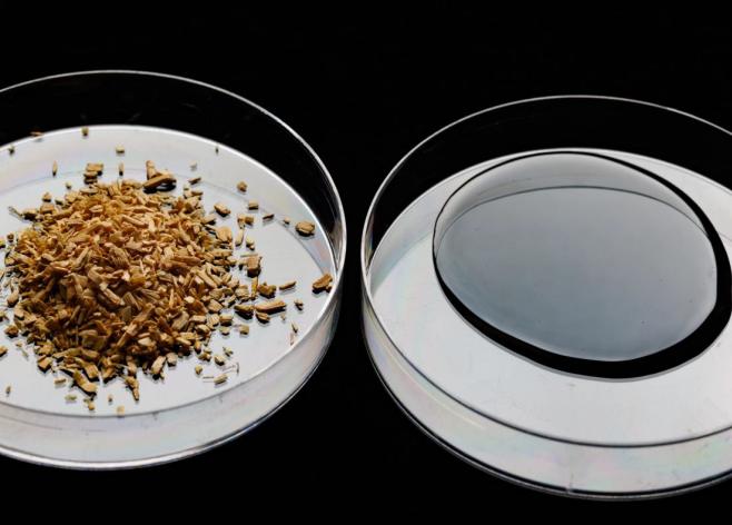 Commercial status of direct thermochemical liquefaction technologies