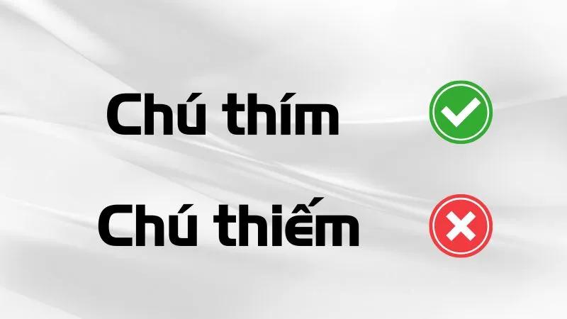 Chú Thím Hay Chú Thiếm – Viết Đúng Chính Tả