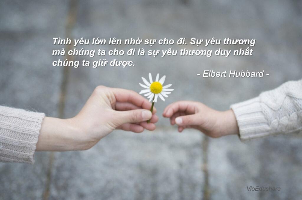 Tin Nổi Bật,Tin VioEdu