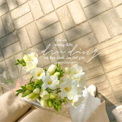 Paradox và phong cách thời trang rực rỡ cùng caption thơ mùa hạ