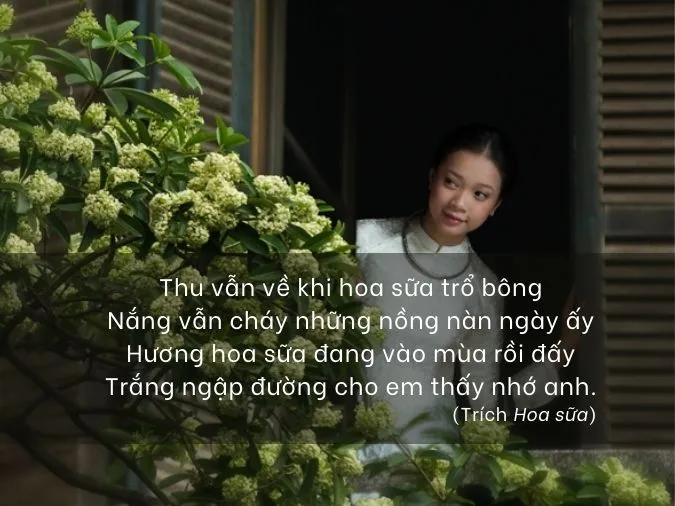 tho-ve-hoa-sua-voh-00