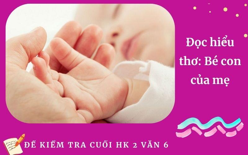 Đọc hiểu thơ: Bé con của mẹ | Đề Kiểm tra cuối học kì 2 Môn Ngữ Văn 6 Trường THCS Minh Khai