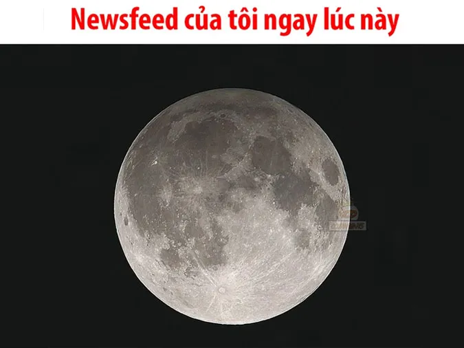 Cách làm trend mặt trăng ngày sinh, hai nửa mặt trăng đang hot trên tiktok hiện nay