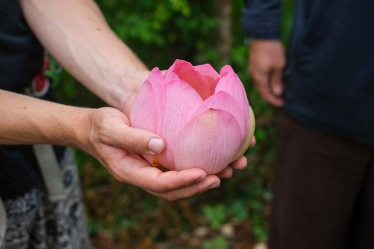 Biết ơn Phật pháp