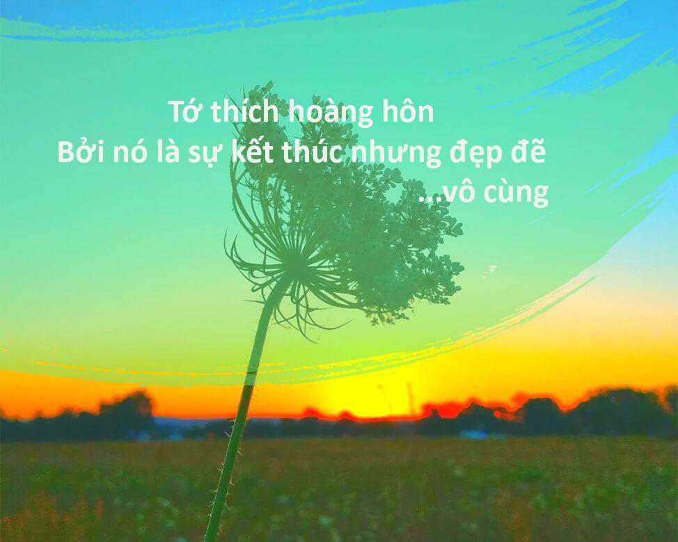Sưu tầm những câu Stt về Hoàng hôn hay, nhẹ nhàng