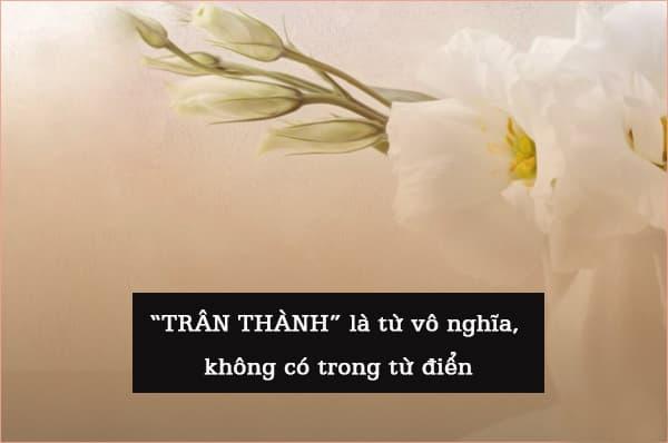 'Chân thành' hay 'trân thành', cái nào đúng chính tả?