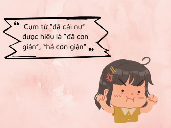Cái nư là gì? Cụm từ "Đã cái nư" có nghĩa là gì?