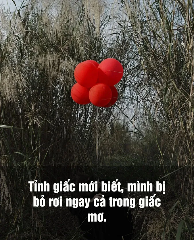 Tổng hợp stt bị bỏ rơi gây nhói lòng