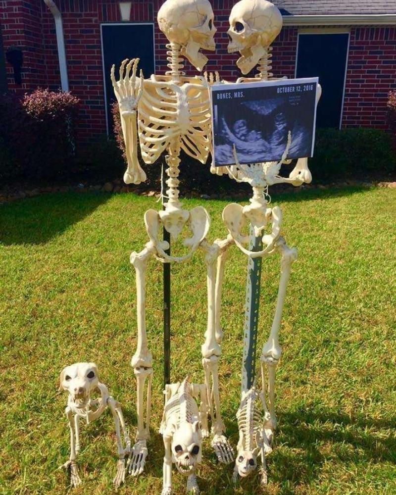 Skeleton Meme – Ảnh Chế Bộ Xương Spooky Hài Hước ?