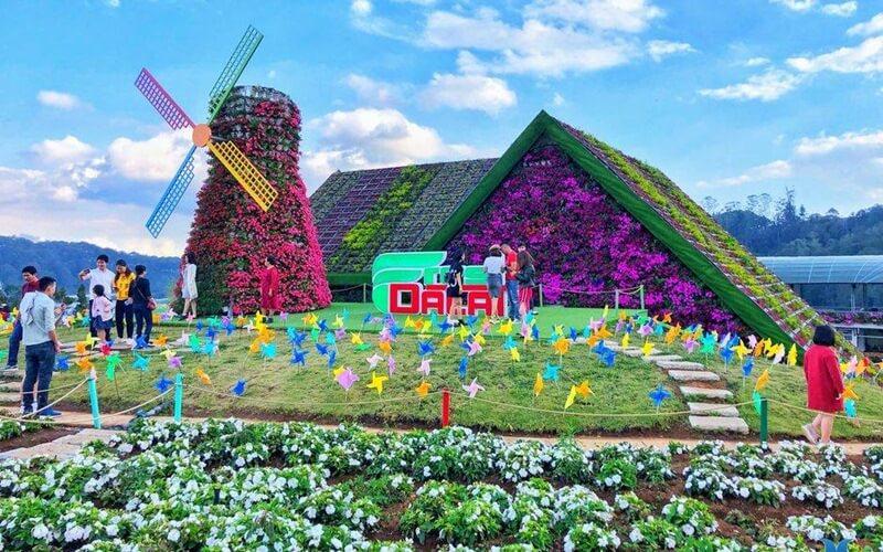 50+ caption thả thính khi đi du lịch Đà Lạt hay nhất