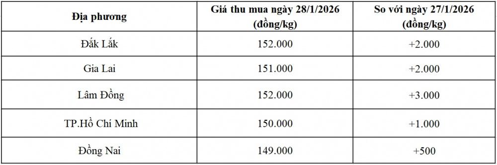 Giá tiêu hôm nay 28/1: Vì sao giá trong nước tăng mạnh?