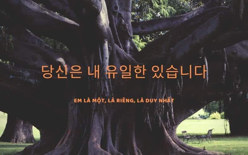 45 Câu nói tiếng Hàn hay về tình yêu cực dễ thương