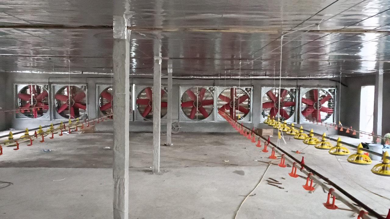 Giá bạt trần cách nhiệt cho chuồng trại