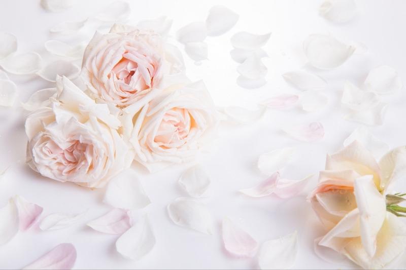99 Stt Valentine Trắng, caption thả thính hay, độc lạ 14/3